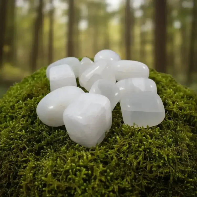 Calcite blanche de Elmwood Mine, Tennessee, USA-Blog