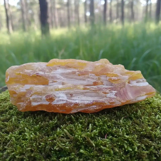 Copal de Colombie - Résine de Purification et de Lumière Solaire - Bienfaits & Vertus-Blog