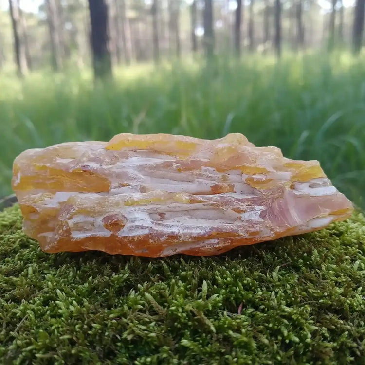 Copal de Colombie - Résine de Purification et de Lumière Solaire - Bienfaits & Vertus-Blog