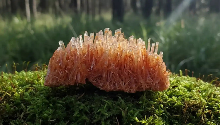 Gypse orange d'Australie sur tapis de mousse fraîche en forêt - Pierre de lithothérapie pour purification mentale et flexibilité d'esprit