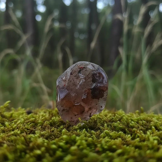 Hilulite du Sri Lanka sur tapis de mousse fraîche et forêt en arrière-plan - Pierre royale rare de lithothérapie pour ancrage et éveil spirituel