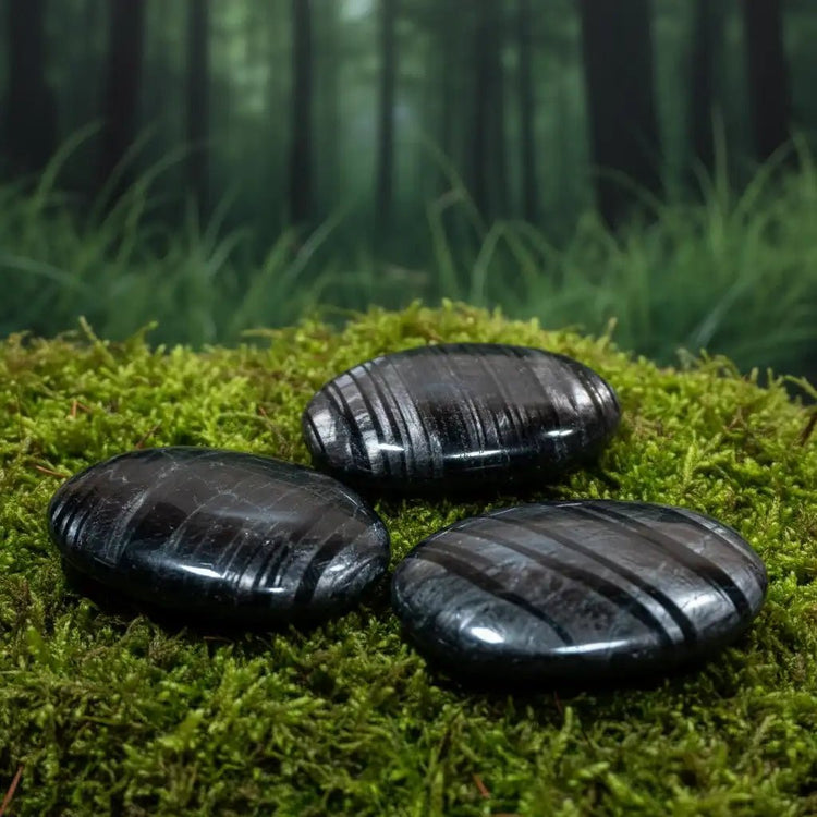 Hypersthène du Canada sur tapis de mousse fraîche et forêt en arrière-plan - Pierre noire irisée de lithothérapie pour quiétude et vision calme