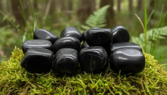 Jais d'Angleterre sur tapis de mousse fraîche et forêt en arrière-plan - Bois fossile noir de lithothérapie pour protection ancestrale