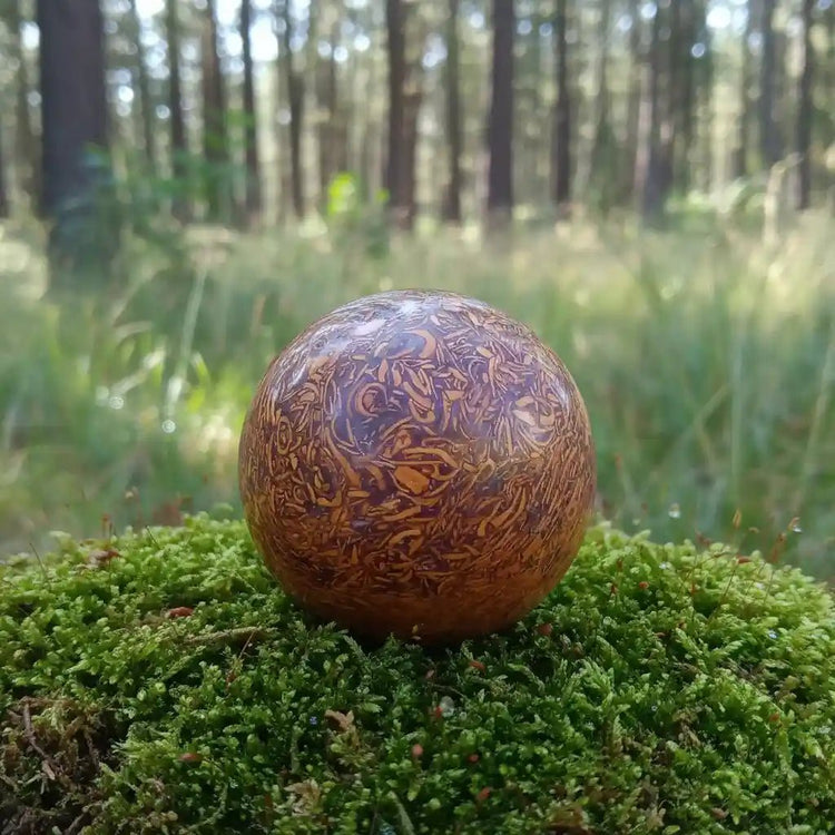 Jaspe Éléphant ou Myriam de l'Himalaya sur tapis de mousse fraîche et forêt en arrière-plan - Pierre fossilisée de lithothérapie pour ancrage et transformation