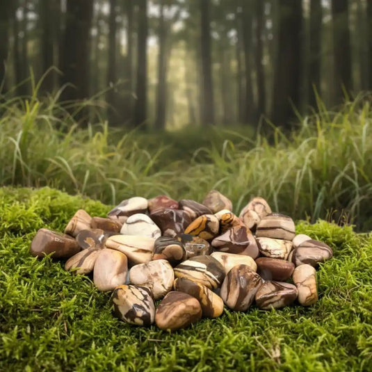 Jaspe Brun d'Afrique du Sud sur tapis de mousse fraîche et forêt en arrière-plan - Pierre de lithothérapie pour ancrage et stabilité