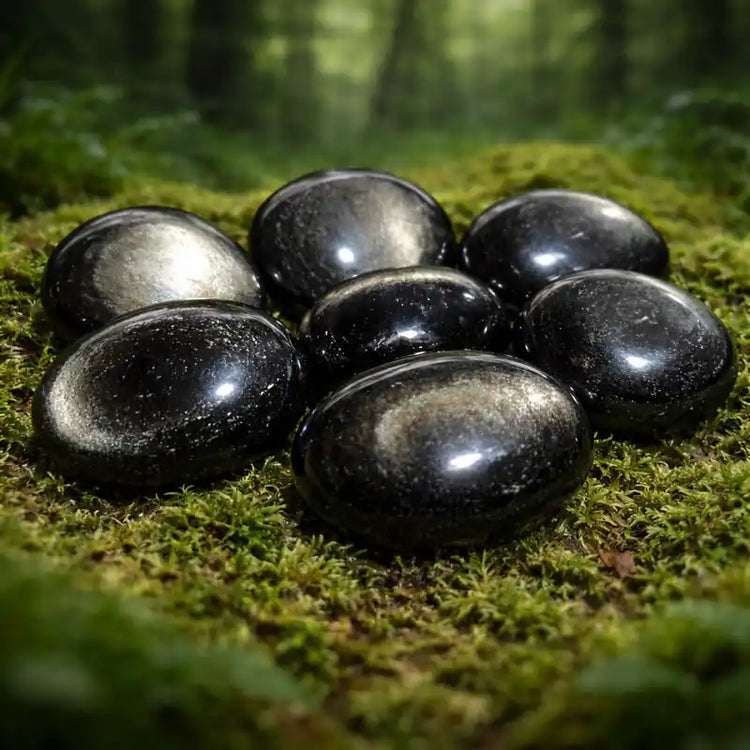 Obsidienne Argentée naturelle Mexique reflets argentés lithothérapie miroir âme introspection profonde pureté spirituelle transformation intérieure clarté