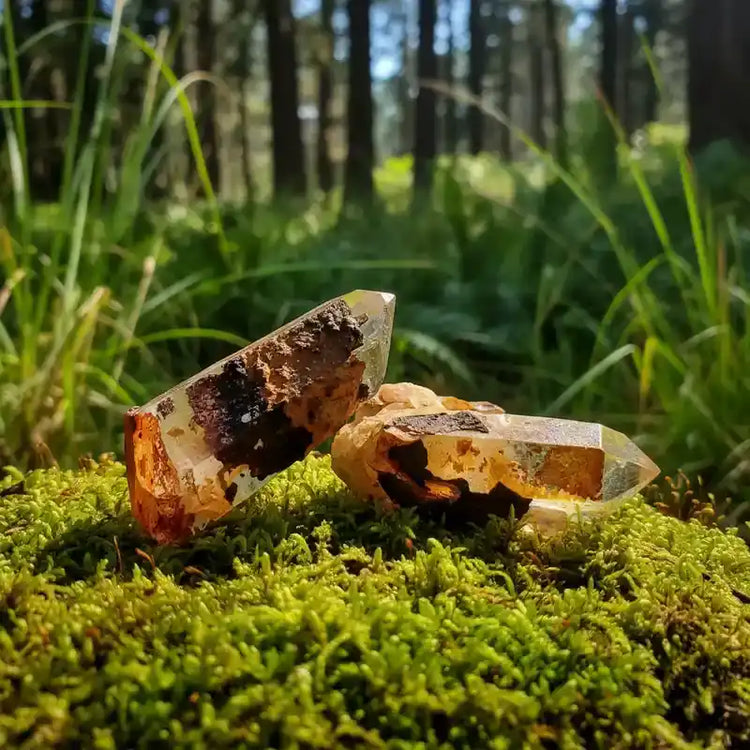 Quartz Green Ridge Maryland USA cristal rare lithothérapie maître guérison reconstruction grille énergétique activation potentiel chakra tous niveaux