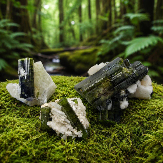 Tourmaline Elbaïte Verdélite du Brésil sur tapis de mousse fraîche, forêt en arrière-plan, vitalité cœur régénération expansion lithothérapie
