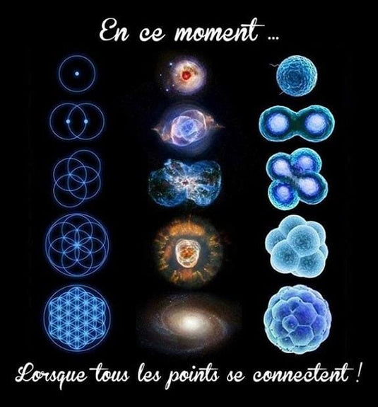 Symboles de géométrie sacrée et ondes de forme - Fleur de vie, nombre d'or et formes énergétiques pour lithothérapie et harmonisation