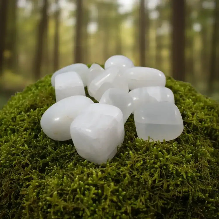Calcite blanche de Elmwood Mine, Tennessee, USA-Collection