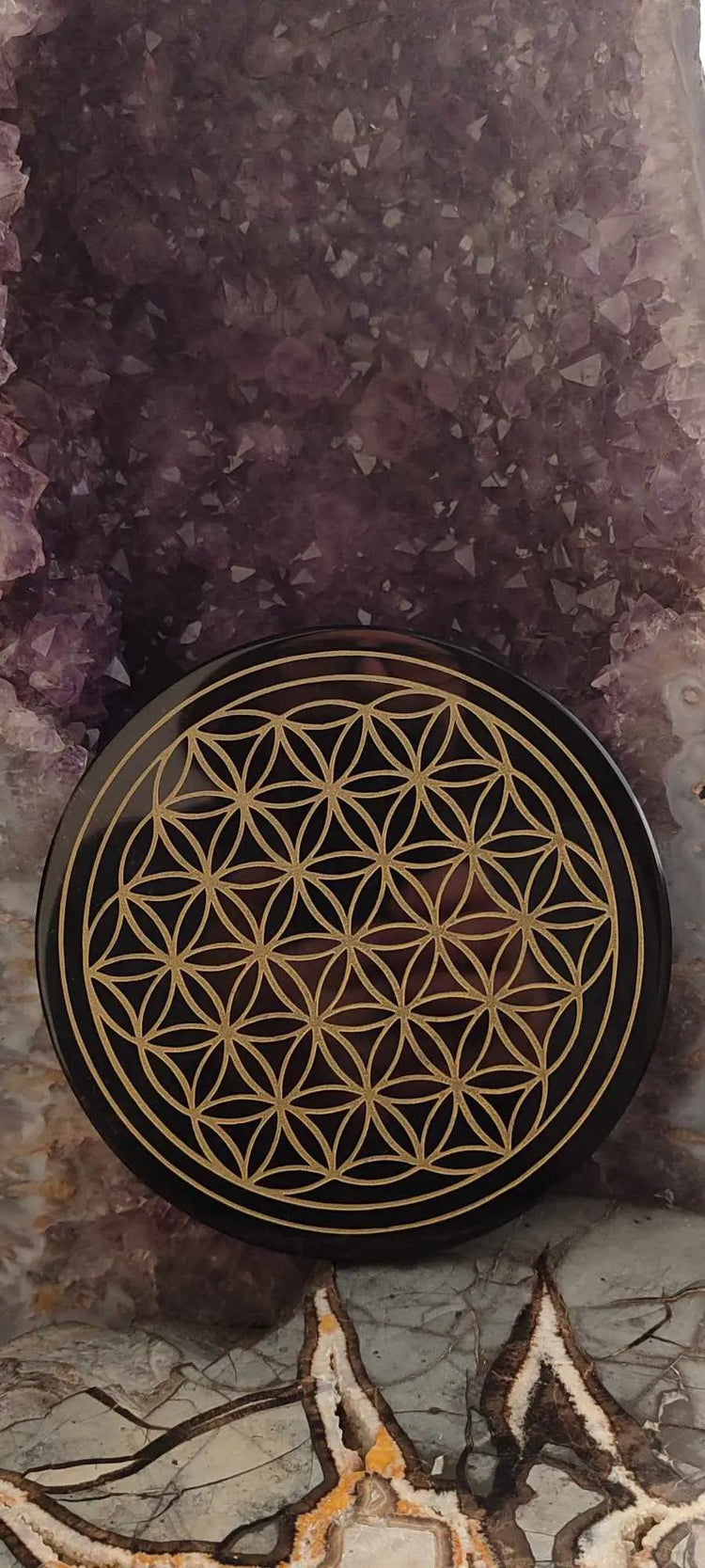 Disque fleur de vie avec un objet circulaire sombre et un motif géométrique clair