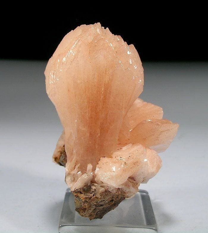 Stilbite