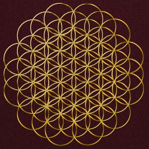 Shape Waves and Sacred Geometries