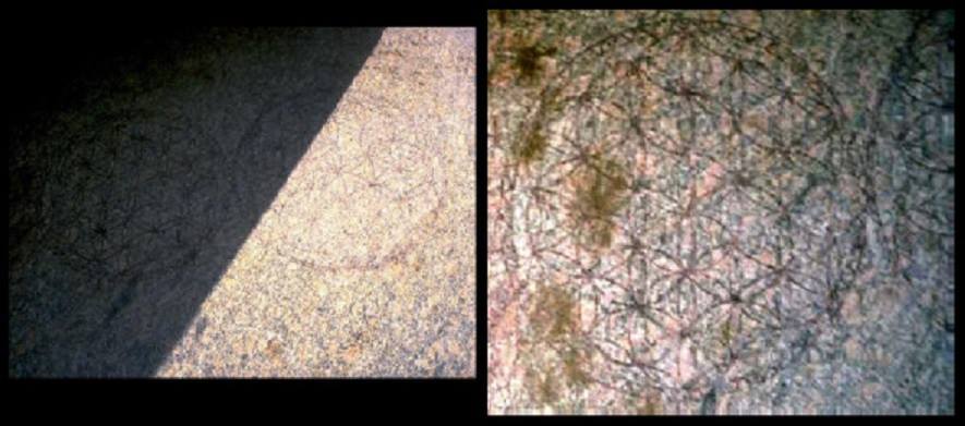 Shape Waves and Sacred Geometries