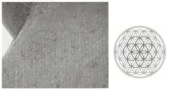 Shape Waves and Sacred Geometries