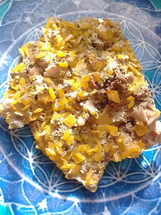 Wulfénite d’Arizona pierre brute de collection Grade A ++++ Wulfénite d’Arizona