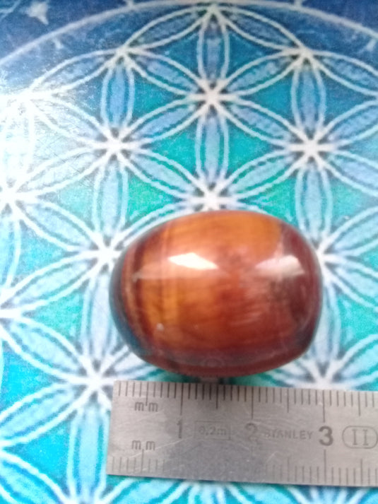 Pierre roulée Oeil de taureau Grade A ++++ Pierre roulée Œil de taureau