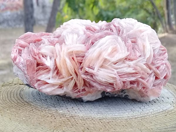 a piece of cake sitting on top of a table