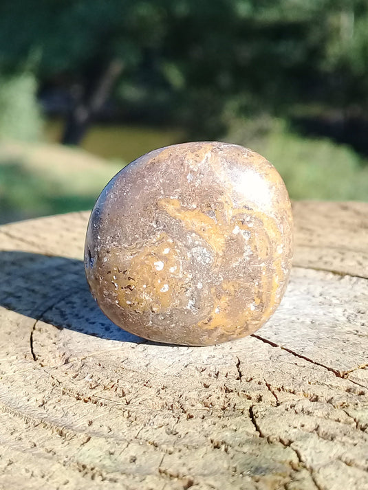 Stromatolite pierre roulée Grade A ++++ Stromatolite pierre roulée
