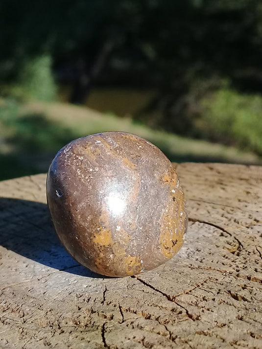 Stromatolite pierre roulée Grade A ++++ Stromatolite pierre roulée