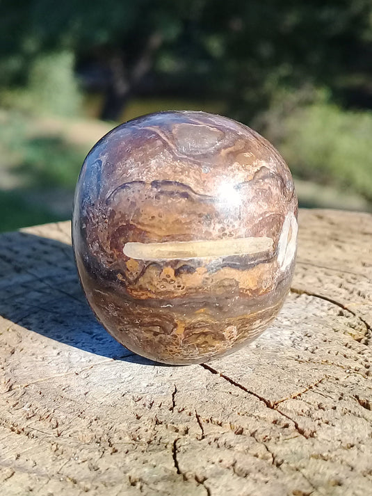 Stromatolite pierre roulée Grade A ++++ Stromatolite pierre roulée