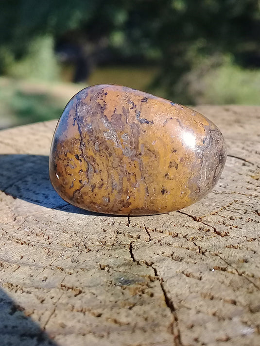 Stromatolite pierre roulée Grade A ++++ Stromatolite pierre roulée