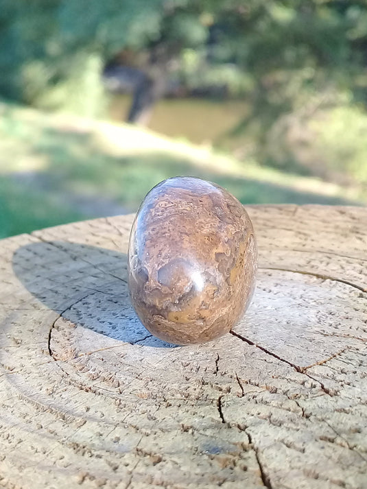 Stromatolite pierre roulée Grade A ++++ Stromatolite pierre roulée