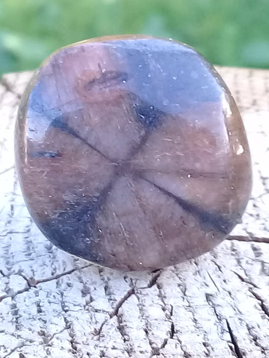 Chiastolite ou Andalousite pierre roulée Grade A ++++ Chiastolite / Andalousite pierre roulée