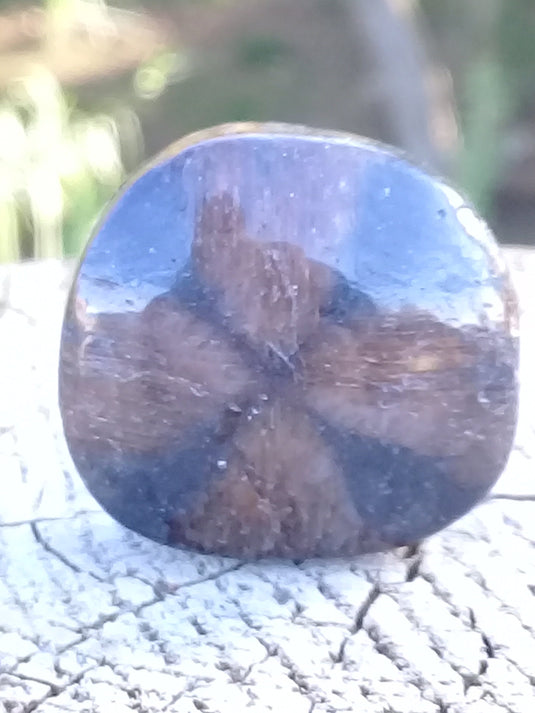 Chiastolite ou Andalousite pierre roulée Grade A ++++ Chiastolite / Andalousite pierre roulée