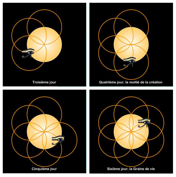 Shape Waves and Sacred Geometries