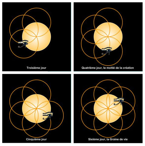 Waves of sacred shapes & geometries. Effects on the body and the environment?