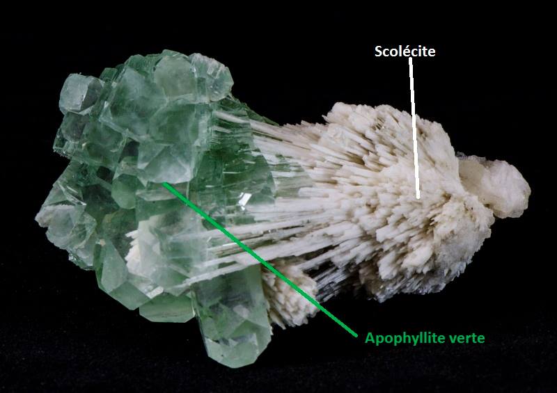 Apophyllite