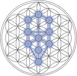 Waves of sacred shapes & geometries. Effects on the body and the environment?