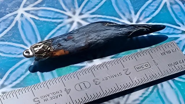Chargez l'image dans la visionneuse de la galerie, Pietersite pendentif Grade A ++++
