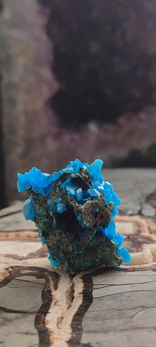 Chalcanthite de Pologne Grade A++++ Chalcanththite de Pologne Dans la besace du p'tit Poucet