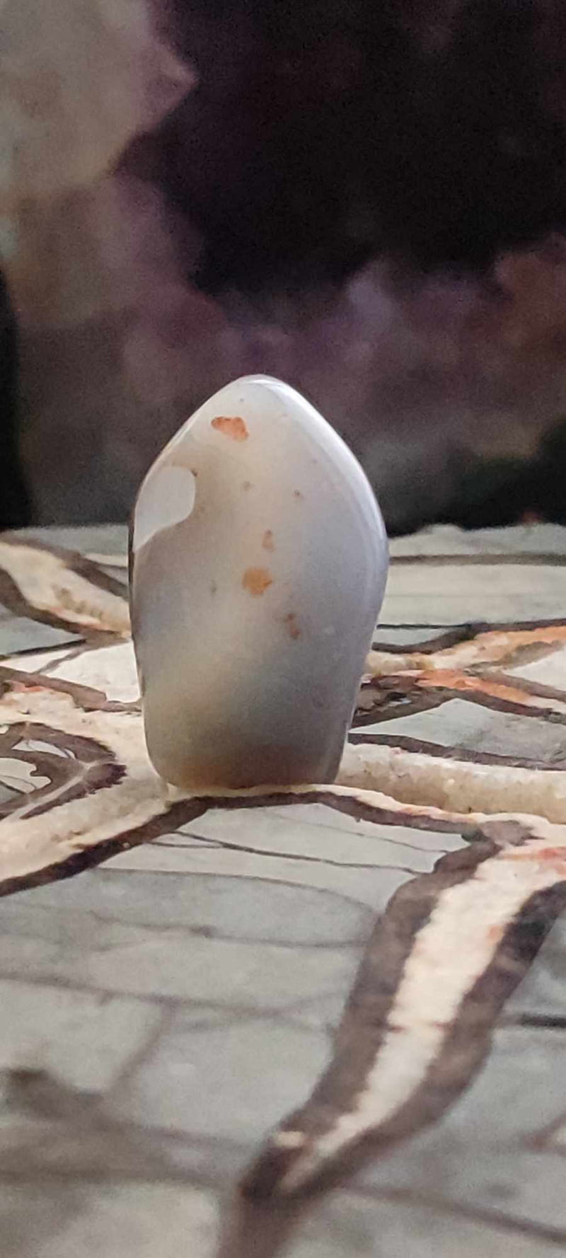 Chargez l&#39;image dans la visionneuse de la galerie, Agate du Botswana, Afrique pierre roulée Grade A++++ Agate du Botswana pierre roulée Dans la besace du p&#39;tit Poucet (Boutique Officielle)
