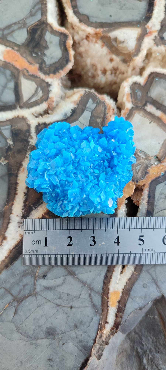 Chalcanthite de Pologne Grade A++++ Chalcanthite de Pologne Dans la besace du p'tit Poucet