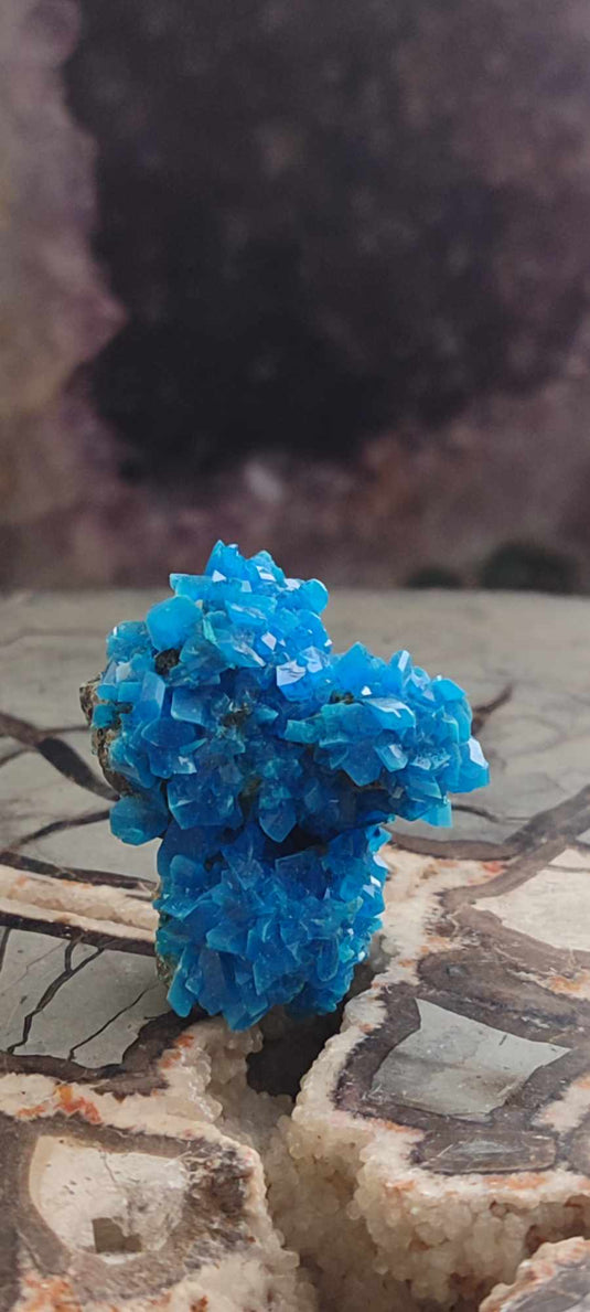 Chalcanthite de Pologne Grade A++++ Chalcanththite de Pologne Dans la besace du p'tit Poucet