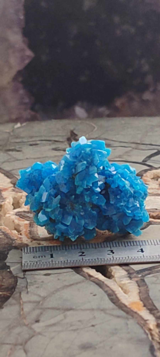 Chalcanthite de Pologne Grade A++++ Chalcanththite de Pologne Dans la besace du p'tit Poucet