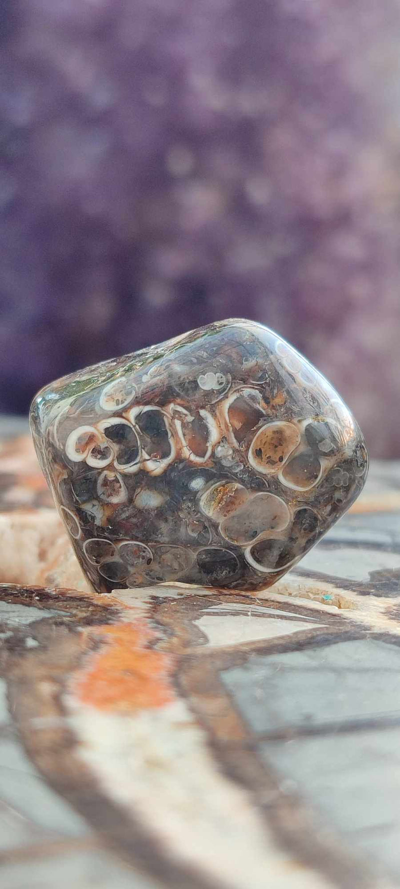 Chargez l&#39;image dans la visionneuse de la galerie, Agate Turitelle d&#39;Uruguay pierre roulée Grade A++++ Agate Turitelle pierre roulée Dans la besace du p&#39;tit Poucet (Boutique Officielle)
