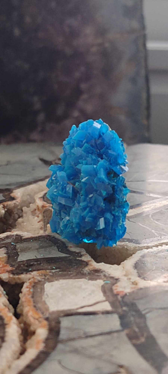 Chalcanthite de Pologne Grade A++++ Chalcanththite de Pologne Dans la besace du p'tit Poucet