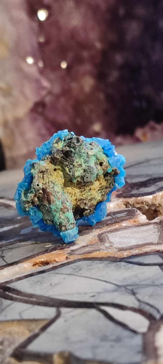 Chalcanthite de Pologne Grade A++++ Chalcanthite de Pologne Dans la besace du p'tit Poucet