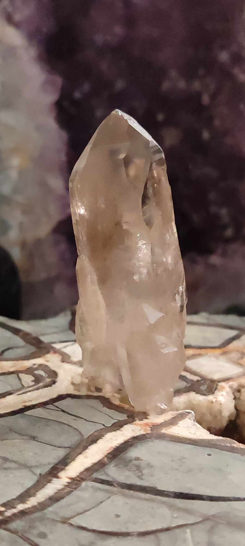 Chargez l&#39;image dans la visionneuse de la galerie, Quartz fumé du Brésil pointe brute Grade A++++ Quartz fumé Dans la besace du p&#39;tit Poucet (Boutique Officielle)
