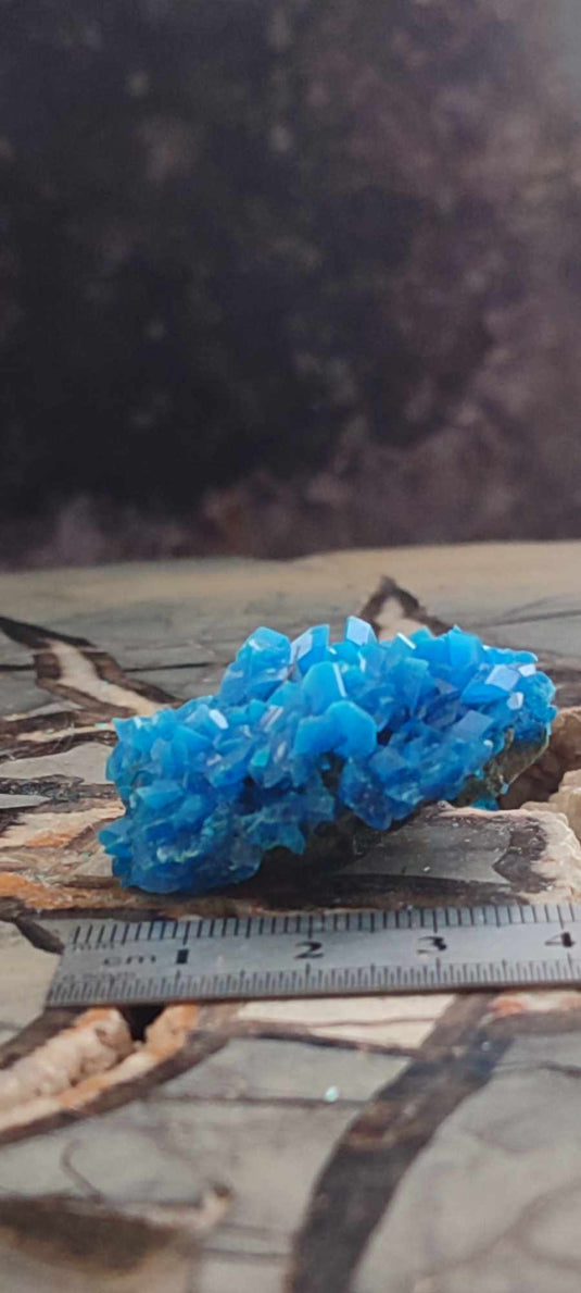 Chalcanthite de Pologne Grade A++++ Chalcanththite de Pologne Dans la besace du p'tit Poucet