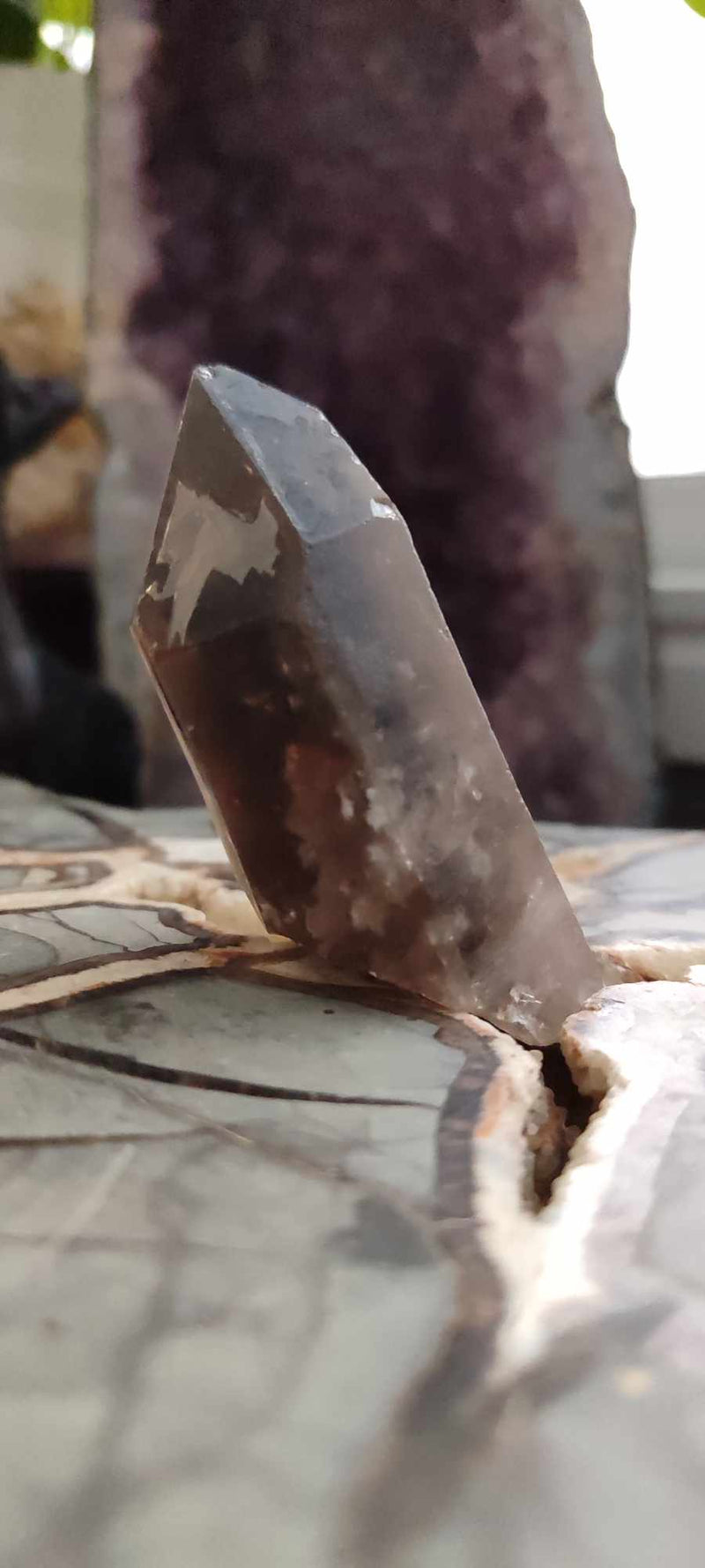 Chargez l&#39;image dans la visionneuse de la galerie, Quartz fumé du Brésil pointe brute Grade A++++ Quartz fumé pointe brute Dans la besace du p&#39;tit Poucet (Boutique Officielle)
