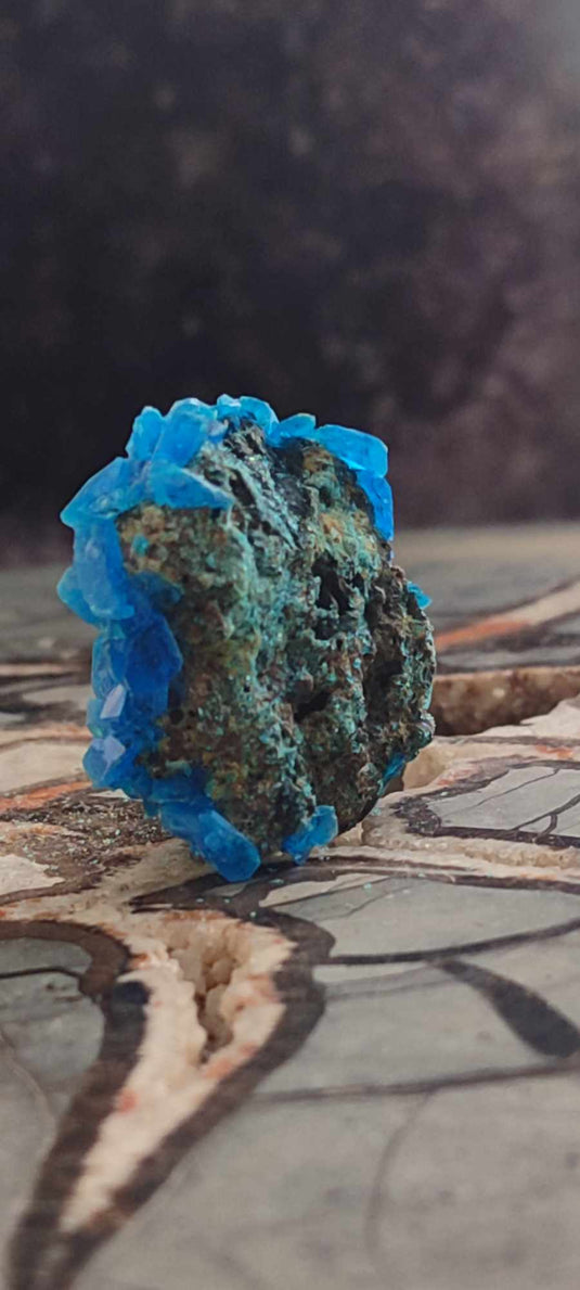 Chalcanthite de Pologne Grade A++++ Chalcanthite de Pologne Dans la besace du p'tit Poucet