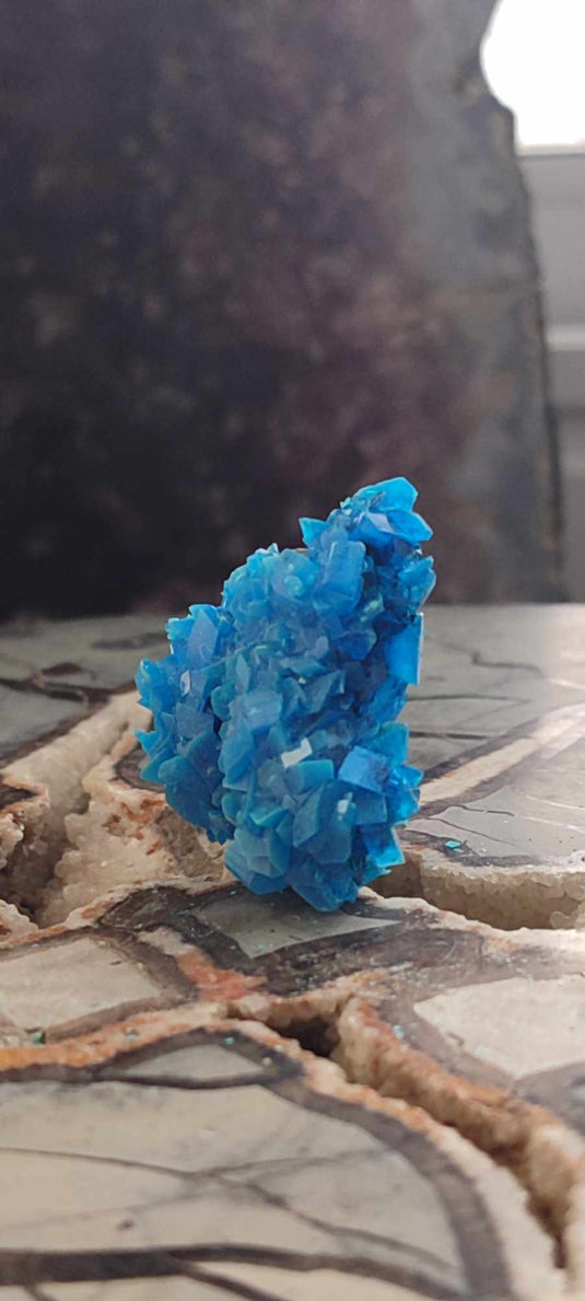 Chalcanthite de Pologne Grade A++++ Chalcanthite de Pologne Dans la besace du p'tit Poucet