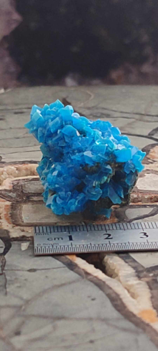 Chalcanthite de Pologne Grade A++++ Chalcanththite de Pologne Dans la besace du p'tit Poucet