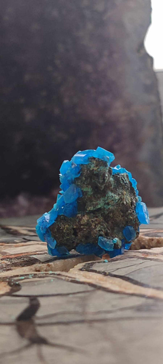 Chalcanthite de Pologne Grade A++++ Chalcanthite de Pologne Dans la besace du p'tit Poucet