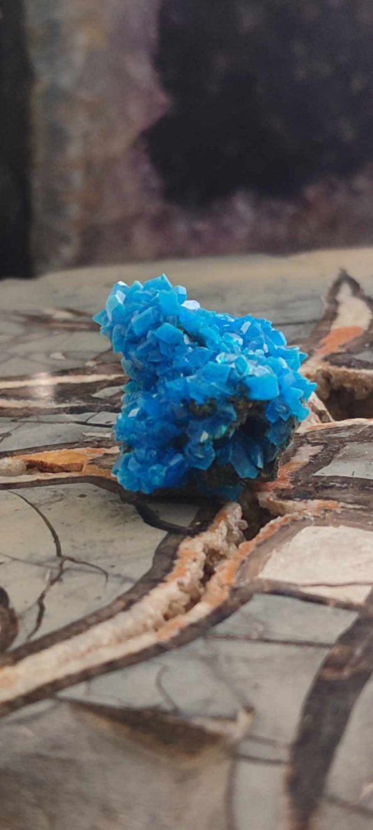 Chalcanthite de Pologne Grade A++++ Chalcanththite de Pologne Dans la besace du p'tit Poucet